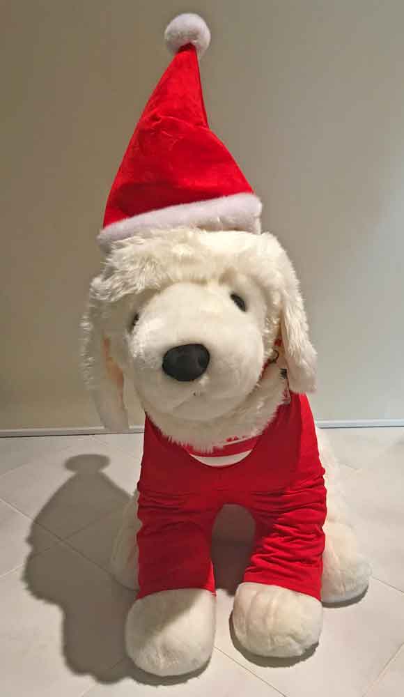 Search for Santa Paws